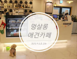 사랑해안시영님이 올린 리뷰 사진 1
