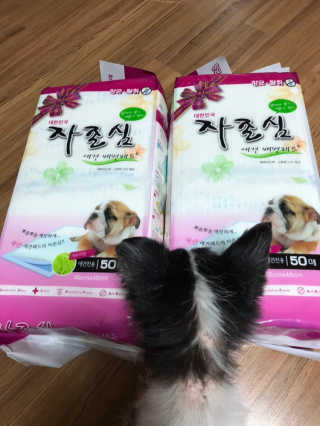 윰님이 올린 리뷰 사진 1