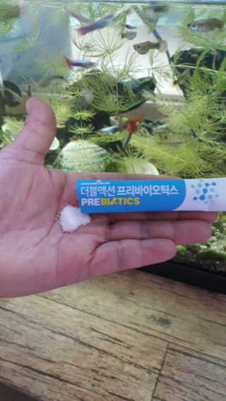 메이준뉴트리 이승남 원장의 더블액션 프리바이오틱스 — 5점을 준 리뷰어가 2020년 3월 올린 사용 사진