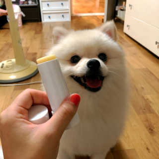 효정님이 올린 리뷰 사진 3