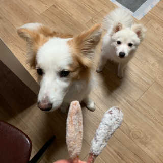 떡볶이죠아님이 올린 리뷰 사진 2