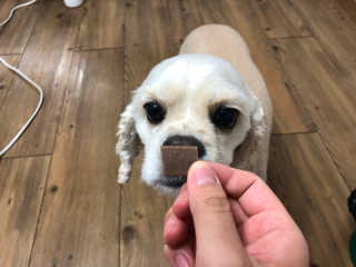 곰둥공주님님이 올린 리뷰 사진 3
