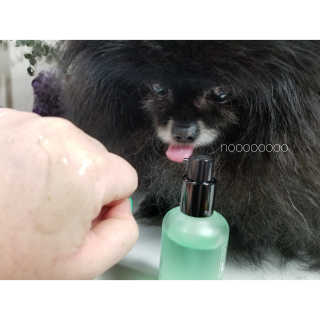 Peepingpomeranian님이 올린 리뷰 사진 2
