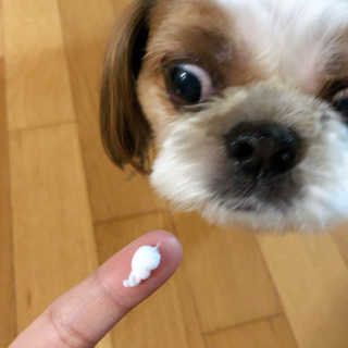 조아조아님이 올린 리뷰 사진 3