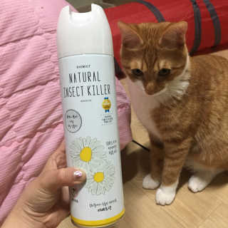 밍밍이이잉님이 올린 리뷰 사진 4