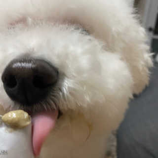쏨님이 올린 리뷰 사진 3