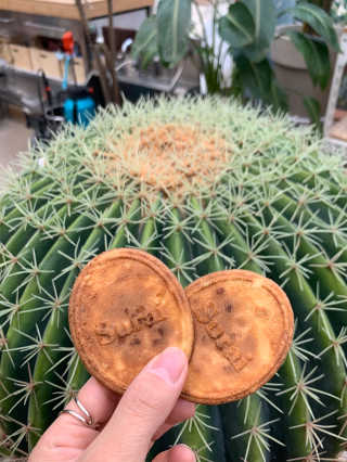 쭈시님이 올린 리뷰 사진 3