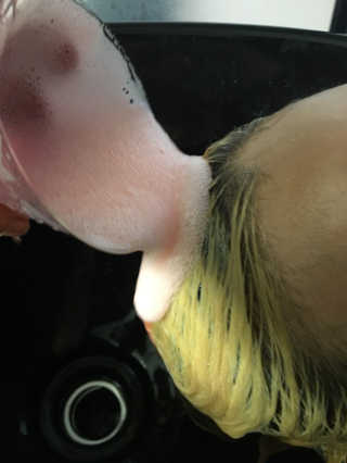 니용님이 올린 리뷰 사진 2