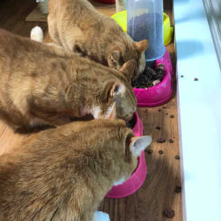 은수수님이 올린 리뷰 사진 2