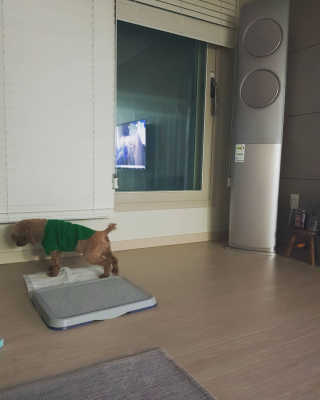narae님이 올린 리뷰 사진 1
