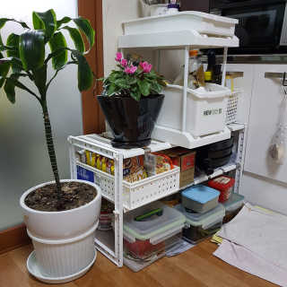허숑숑님이 올린 리뷰 사진 1