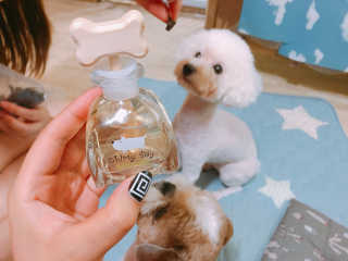 백선영님이 올린 리뷰 사진 1