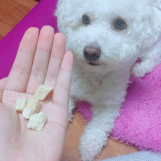 EmilyYu님이 올린 리뷰 사진 1