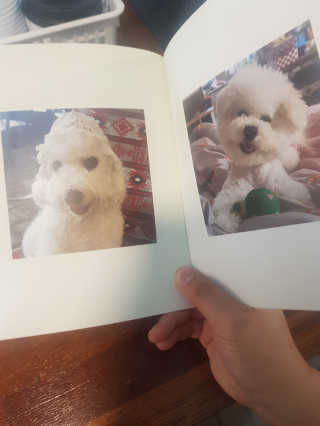 꾸꾸엄마님이 올린 리뷰 사진 3