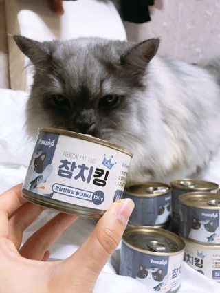 동원 참치킹 고양이 캔 12개입 — 4.5점을 준 리뷰어가 2018년 10월 올린 사용 사진