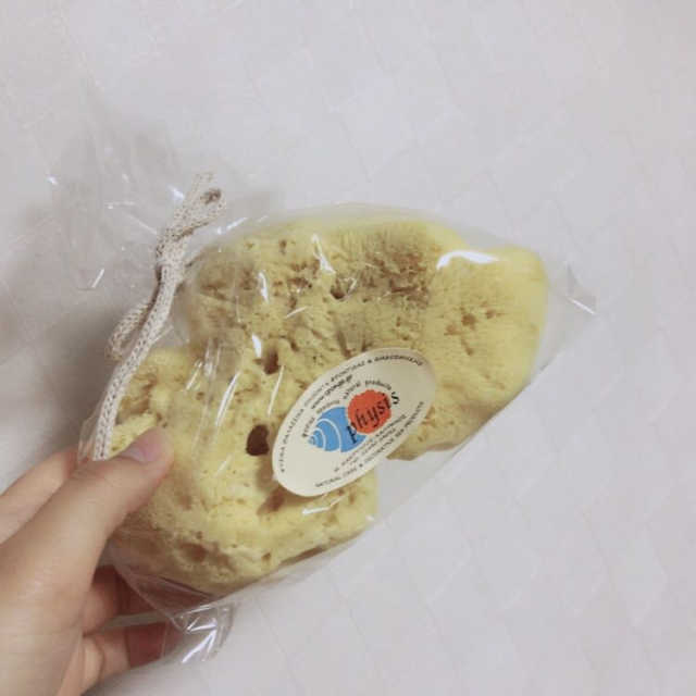 바스참 해면스펀지 리뷰 사진