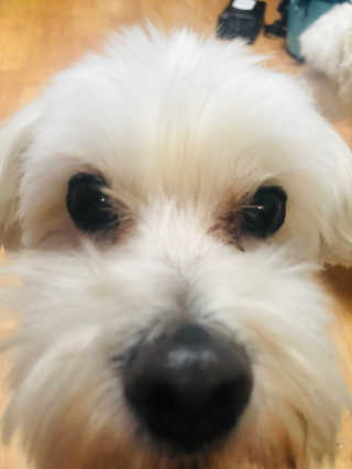곽현정님이 올린 리뷰 사진 1