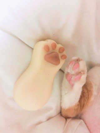 JiHyeHan님이 올린 리뷰 사진 1