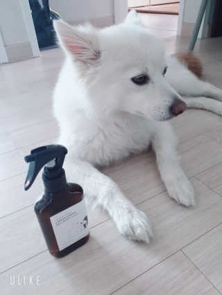 SooYeonKim님이 올린 리뷰 사진 2