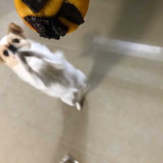 지애님이 올린 리뷰 사진 3