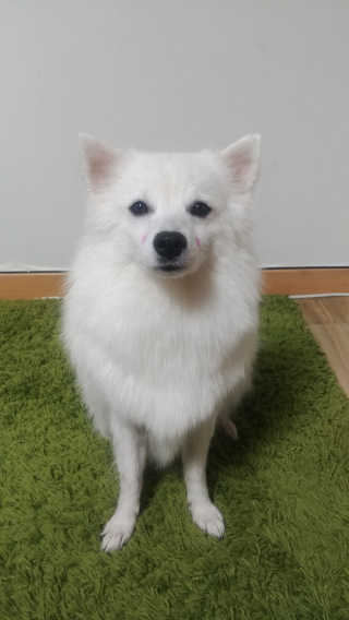 EunJeongKong님이 올린 리뷰 사진 4