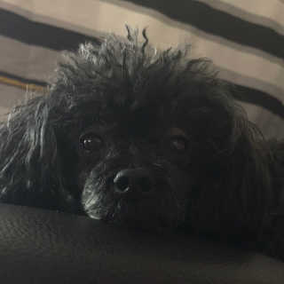 쁘띠율님이 올린 리뷰 사진 2