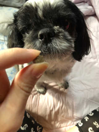티케님이 올린 리뷰 사진 2