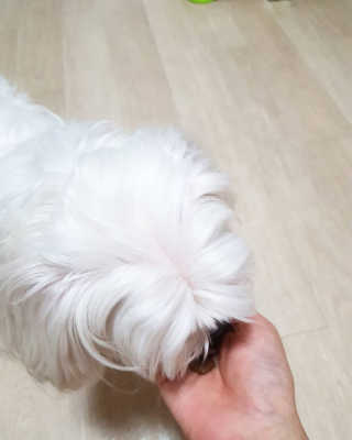 나나네님이 올린 리뷰 사진 3