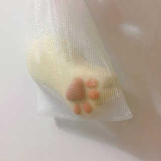 찌몽님이 올린 리뷰 사진 1