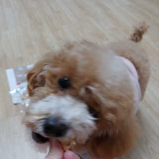 밍님이 올린 리뷰 사진 3
