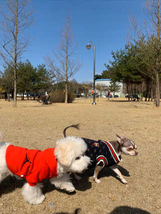 외모되죠님이 올린 리뷰 사진 2