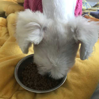토리님이 올린 리뷰 사진 2