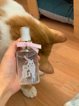 난이님이 올린 리뷰 사진 1