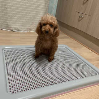 규빈띵쏘님이 올린 리뷰 사진 1
