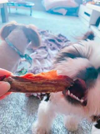 짱츄들님이 올린 리뷰 사진 2