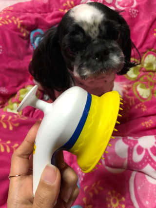 티케님이 올린 리뷰 사진 1