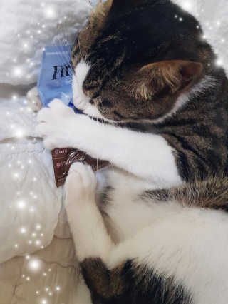 오요둉님이 올린 리뷰 사진 3