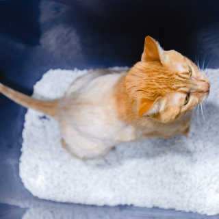 2019yaap님이 올린 리뷰 사진 3