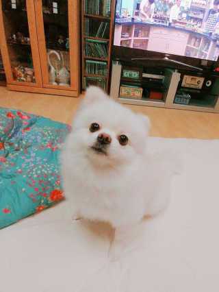 MinjuCho님이 올린 리뷰 사진 1