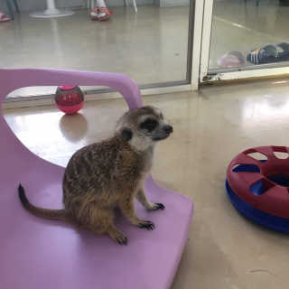 왓다동방러님이 올린 리뷰 사진 1