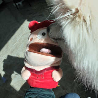 복디누나님이 올린 리뷰 사진 2