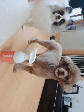 코콩님이 올린 리뷰 사진 3