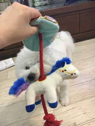 sooing님이 올린 리뷰 사진 3