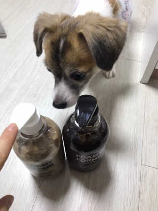 포미포미 레드푸드 스칼프 탈모 샴푸 + 트리트먼트 SET — 5점을 준 리뷰어가 2020년 1월 올린 사용 사진