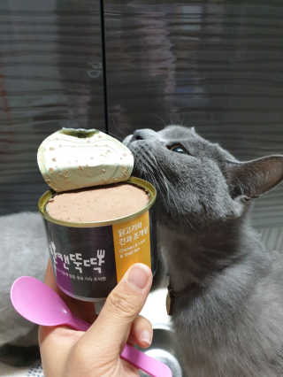 쯀맘님이 올린 리뷰 사진 4