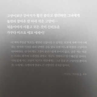 후룰루랄라님이 올린 리뷰 사진 2
