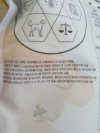 둥가둥가우리도도님이 올린 리뷰 사진 2