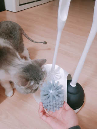 창신리빙 [프랑코 변기 클리너 세트] 똑똑한 정리 수납 — 3점을 준 리뷰어가 2019년 6월 올린 사용 사진