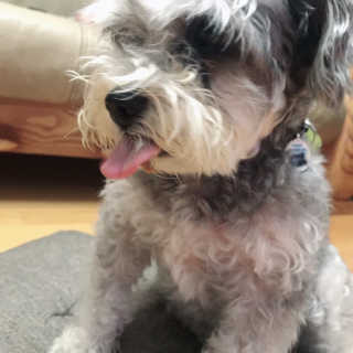 김가롱님이 올린 리뷰 사진 4