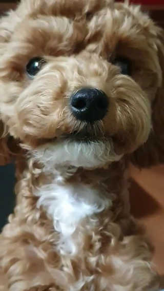 포이로이님이 올린 리뷰 사진 2